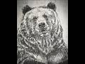 A bear smiling at the camera. Who knows why?