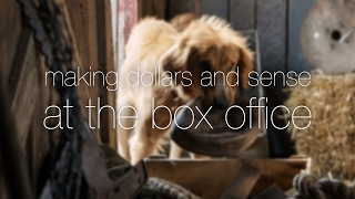 Making Dollars And Sense At The Box Office Split Puts The Pups In The Dog House