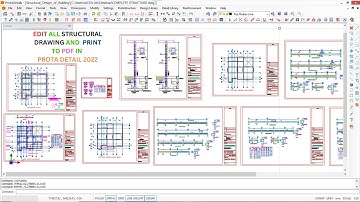 PROTA DETAILS (EDIT ALL STRUCTURAL DETAILS DRAWINGS AND PRINT) #civilengineering