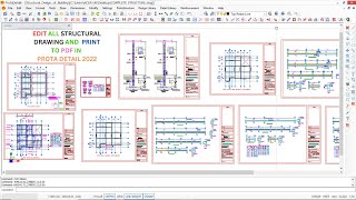 PROTA DETAILS (EDIT ALL STRUCTURAL DETAILS DRAWINGS AND PRINT) #civilengineering