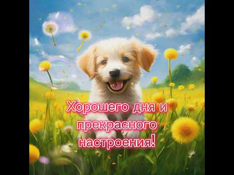 Милое пожелание хорошего дня!🥰 #2025 #реки #солнце