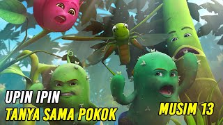 Upin &amp; Ipin Tanya Sama Pokok Episode Terbaru 2020 | Upin Ipin Terbaru 2020 | Musim 13