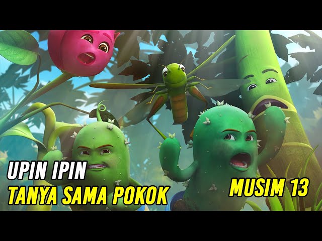 Upin & Ipin Tanya Sama Pokok Episode Terbaru 2020 | Upin Ipin Terbaru 2020 | Musim 13 class=