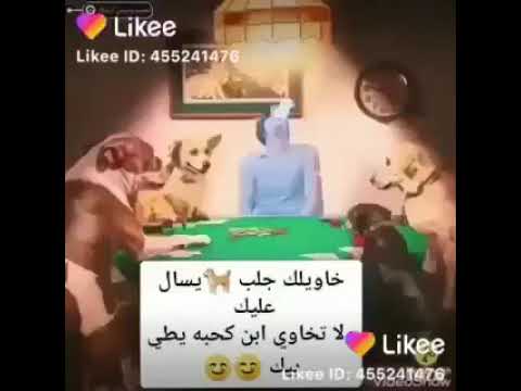 اي ولله هاذا الوقت اتنطي سرك يبيع برخص سعر