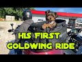 First Motorcycle Ride On The GoldWing with Krickett our Yorkie Puppy