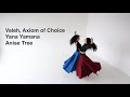 Persian fusion dance by anise tree  yana yamana