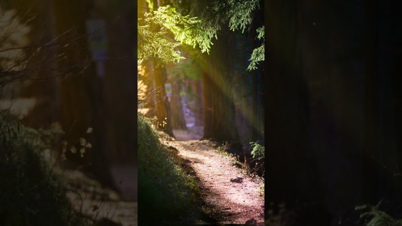 Dramatic Sunlight