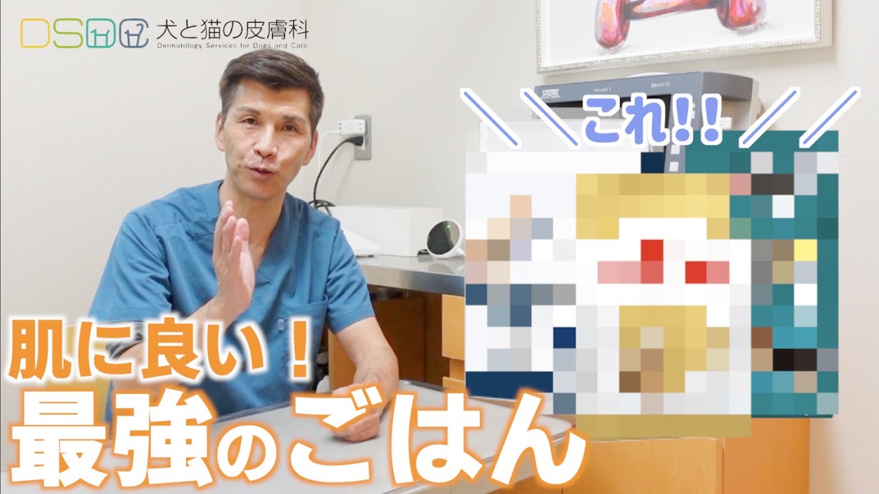 【犬と猫の皮膚科】皮膚科専門医が教える！最強のごはんはこれ！