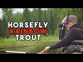 The best dry fly fishing in bc  the cariboos biggest secret