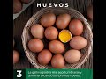 TIPS DE CRIANZA - 8 ALIMENTOS PROHIBIDOS PARA TUS GALLINAS