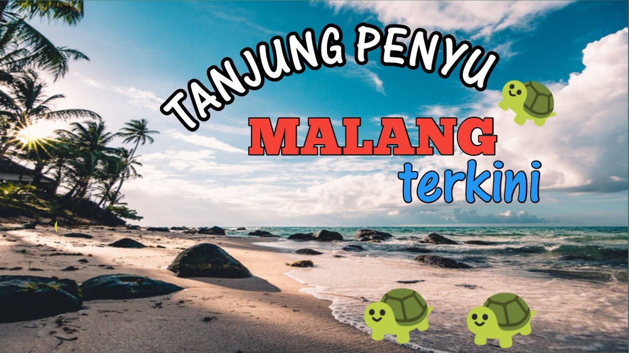 PANTAI TANJUNG PENYU 🐢 KABUPATEN MALANG TERBARU 