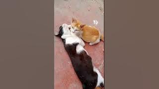 Kasih sayang ibu dan anak 😘😘😘