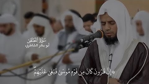 آيات من سورة القصص || الشيخ/ابوبكر الشاطر |راح قلبك🎧