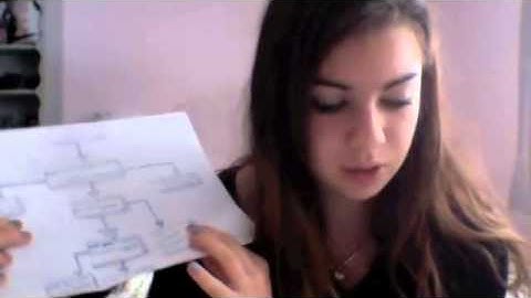 Flow Chart Hovercraft Explanation