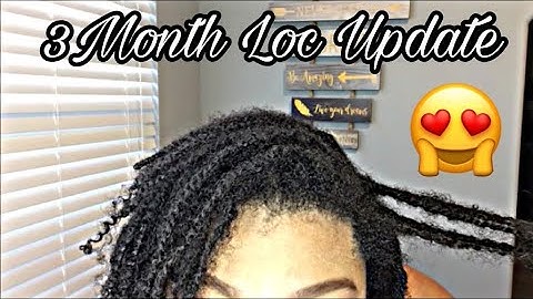 3 month Loc update| Two Strand Twist Starter Locs