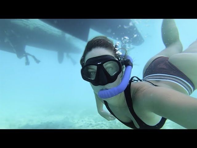 Life is Better UNDERWATER (S5 E11 Barefoot Travels)