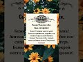 Нажмите на WhatsApp в верхней части моего профиля, чтобы получить Божьи благословения.