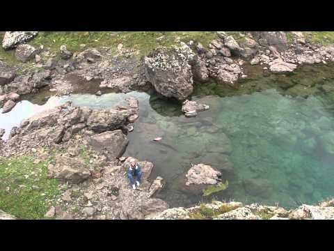 აბუდელაური 2011