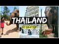 I FED ELEPHANTS IN THAILAND | 1st Solo Trip