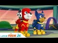 Salvando a apollo el super cachorro  paw patrol  nick jr  amrica latina  espaol