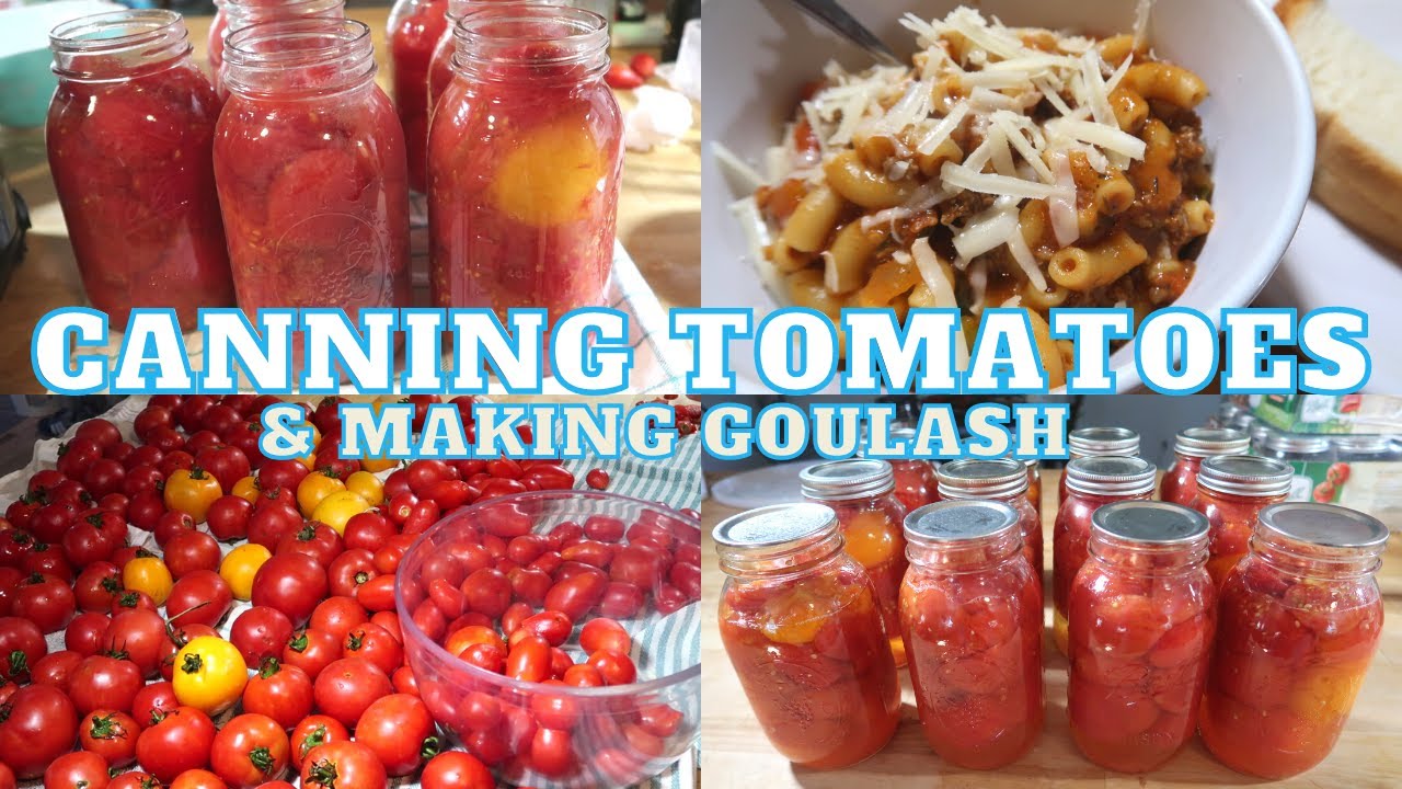 CANNING TOMATOES FOR THE FIRST TIME | MAKING GOULASH | DISHING DELIGHTS