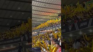 D Balloon,Japan Supporters,Yellow Balloons Brazil Supporters At Volleyball Match