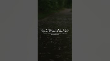 آيات من سورة الانسان ﴿ 18 - 21 ﴾ محمد اللحيدان