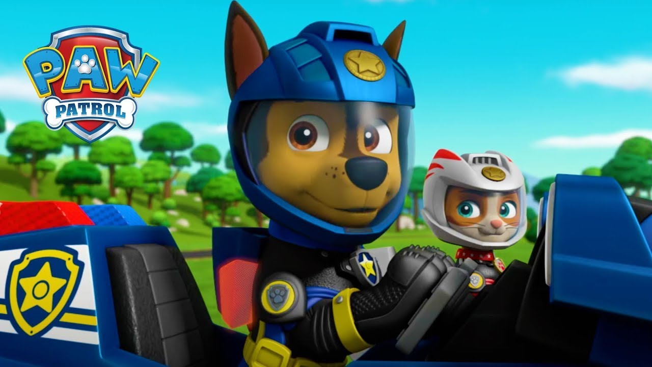 Wyścigi szczeniąt!  - Psi Patrol PAW Patrol po polsku