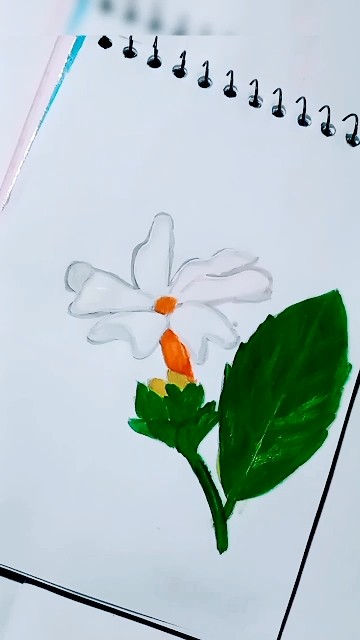 shiuli-coral-jasmine-parijat-flower-drawing-youtube