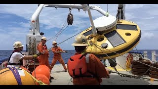 Secrets of the Deep: The Stones Metocean Monitoring Project | Sustainability at Shell
