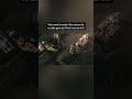 I really like adding environmental storytelling to my game. #indiegame #cozygames #rpggames