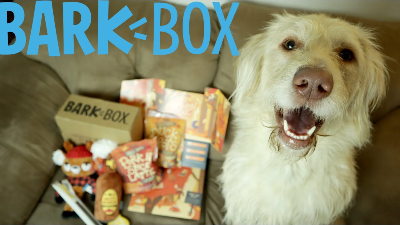 September Bark Box Unboxing With Oliver YouTube
