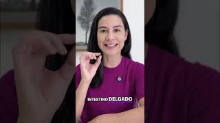 Causas da barriga inchada após comer #saude #causas #barriga #comer #inchada Causas da barriga inchada após comer #saude #causas #barriga #comer #inchada