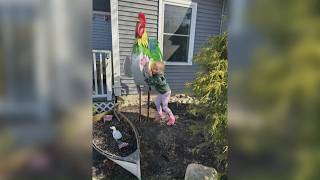 Rooster decorations prompt legal battle in Ogunquit
