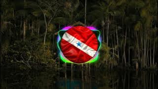 Banda AR15 - Prometo Te Amar (Melody 2021)