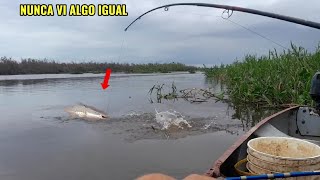 SALIÓ EL SURUBÍ !! " TREMENDO SURUBÍ " ESTA PESCA FUE INCREÍBLE, MUCHOS PESCADOS - Pesca y cocina