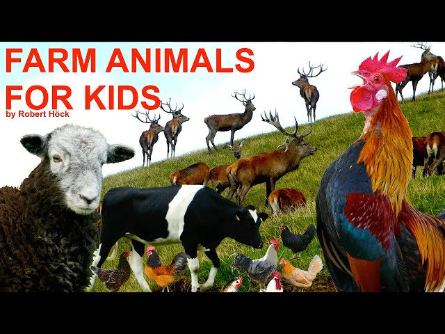 ANIMAL SOUNDS FOR KIDS - Tierstimmen für Kinder -  Sonidos de animales para niños - Bauernhoftiere class=