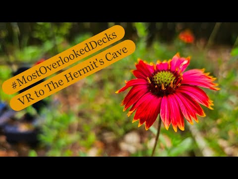 Most Overlooked Decks