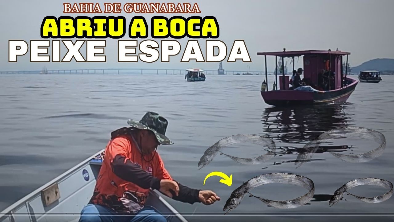 PEIXE ESPADA BRUTA NA BAHIA DE GUANABARA FIZGADA BRUTA