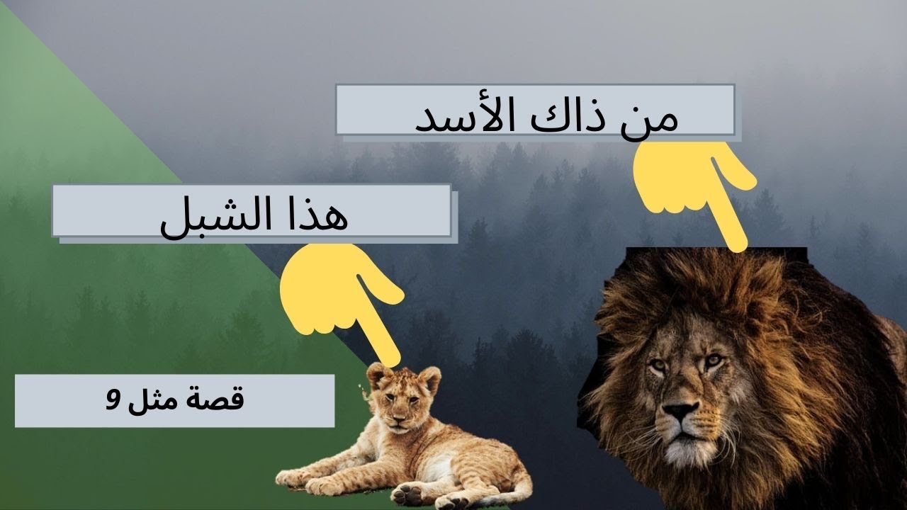 الأسد هذا ذاك الشبل من ”هذا الشبل