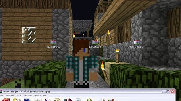 How to Install the Tale of Kingdoms mod for 1.4.7