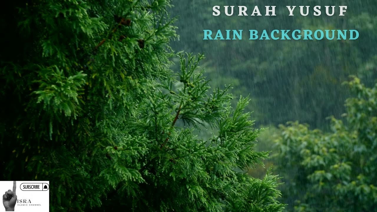 The Holy Quran 2022~12.SURAH YUSUF + RAIN BACKGROUND  for relaxation, study and sleep