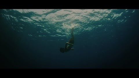 そこはユートピアか、ディストピアか。／映画『エヴォリューション』予告編（short）