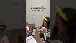Slack chat full of memes and brainrot
