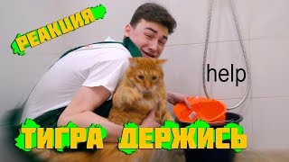 мою своего кота *ЧТО-ТО ПОШЛО НЕ ТАК* ► РЕАКЦИЯ на TheBrianMaps мою своего кота *ЧТО-ТО ПОШЛО НЕ ТАК* ► РЕАКЦИЯ на TheBrianMaps