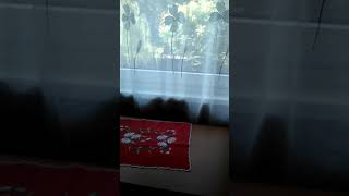 Meg Mutatom A Otthonomat Kèszítetelord Oliver