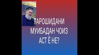 ХОЧИ МИРЗО ТАРОШИДАНИ МУИ БАДАН ЧОИЗ АСТ Ё НЕ