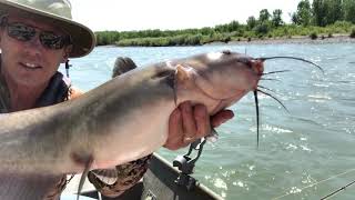 A Great Day for Catfishing | Dedicated to My Dad!