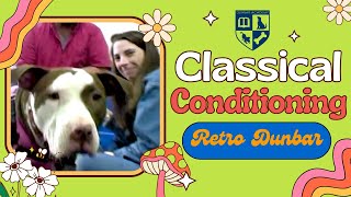 Adult Dog Training - Classical Conditioning - Retro Dunbar S1E2 by Dunbar Academy 308 views 3 months ago 5 minutes, 30 seconds