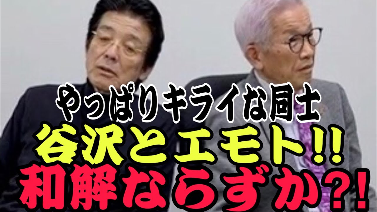 本当は仲がいいのか悪いのか？